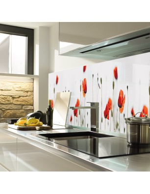 Glas Küchenrückwand 6 mm ESG Motive KRWM-0289
