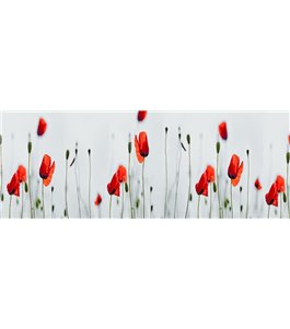 Glas Küchenrückwand 6 mm ESG Motive KRWM-0289