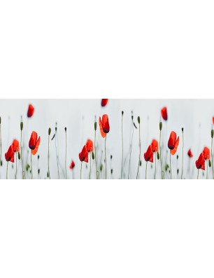 Glas Küchenrückwand 6 mm ESG Motive KRWM-0289