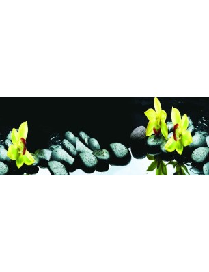 Glas Küchenrückwand 6 mm ESG Motive KRWM-0300