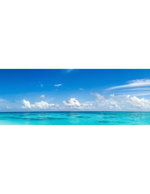 Glas Küchenrückwand 6 mm ESG Motive KRWM-0303