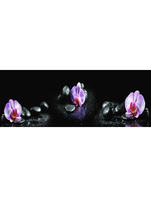 Glas Küchenrückwand 6 mm ESG Motive KRWM-0305