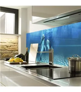 Glas Küchenrückwand 6 mm ESG Motive KRWM-0306