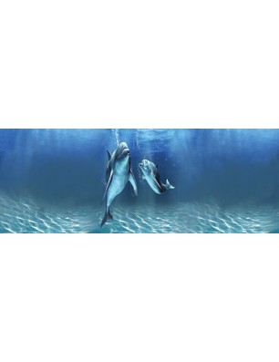 Glas Küchenrückwand 6 mm ESG Motive KRWM-0306