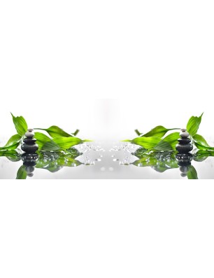 Glas Küchenrückwand 6 mm ESG Motive KRWM-0312