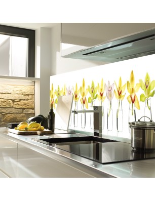 Glas Küchenrückwand 6 mm ESG Motive KRWM-0319
