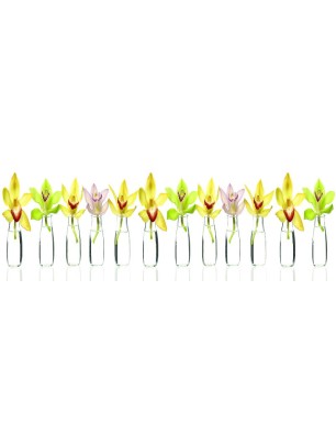 Glas Küchenrückwand 6 mm ESG Motive KRWM-0319