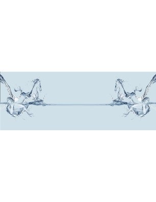 Glas Küchenrückwand 6 mm ESG Motive KRWM-0331