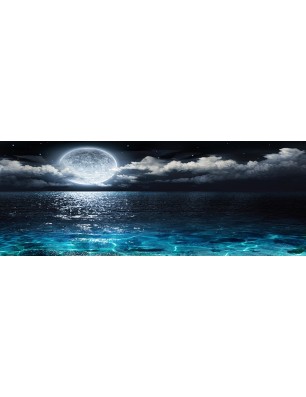 Glas Küchenrückwand 6 mm ESG Motive KRWM-0336