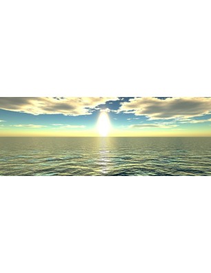Glas Küchenrückwand 6 mm ESG Motive KRWM-0352
