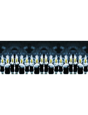 Glas Küchenrückwand 6 mm ESG Motive KRWM-0353