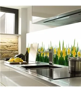 Glas Küchenrückwand 6 mm ESG Motive KRWM-0358