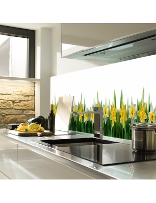 Glas Küchenrückwand 6 mm ESG Motive KRWM-0358
