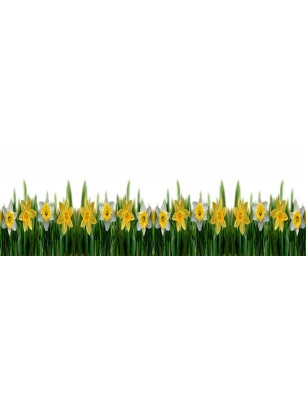Glas Küchenrückwand 6 mm ESG Motive KRWM-0358