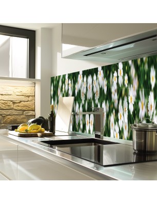 Glas Küchenrückwand 6 mm ESG Motive KRWM-0364