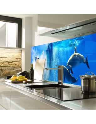 Glas Küchenrückwand 6 mm ESG Motive KRWM-0367