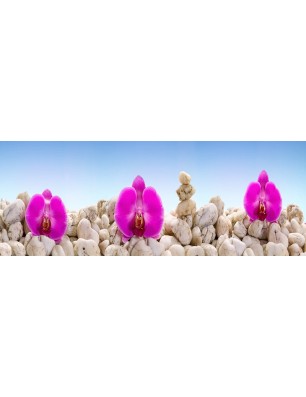 Glas Küchenrückwand 6 mm ESG Motive KRWM-0385
