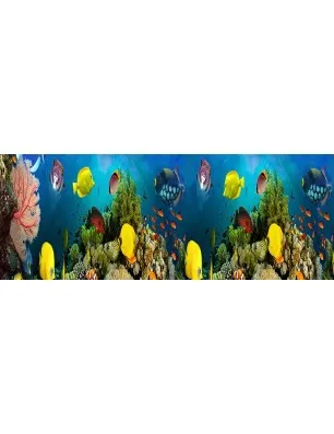 Glas Küchenrückwand 6 mm ESG Motive KRWM-0391