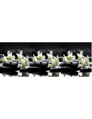 Glas Küchenrückwand 6 mm ESG Motive KRWM-0399