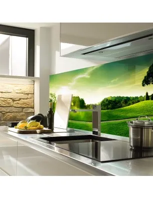 Glas Küchenrückwand 6 mm ESG Motive KRWM-0402