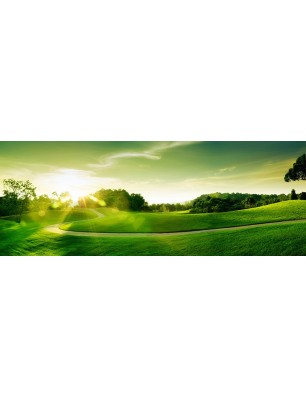 Glas Küchenrückwand 6 mm ESG Motive KRWM-0402
