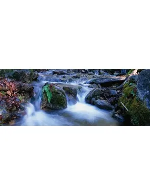 Glas Küchenrückwand 6 mm ESG Motive KRWM-0403