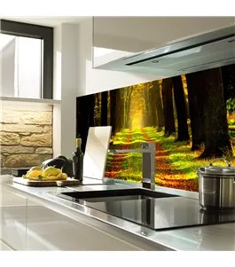 Glas Küchenrückwand 6 mm ESG Motive KRWM-0409