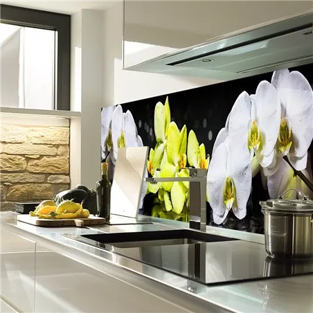 Glas Küchenrückwand 6 mm ESG Motive KRWM-0413