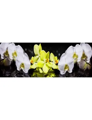 Glas Küchenrückwand 6 mm ESG Motive KRWM-0413