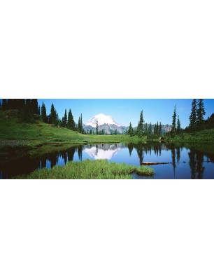 Glas Küchenrückwand 6 mm ESG Motive KRWM-0418