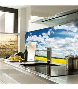 Glas Küchenrückwand 6 mm ESG Motive KRWM-0419