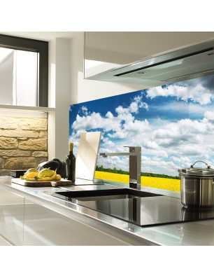 Glas Küchenrückwand 6 mm ESG Motive KRWM-0419