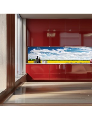 Glas Küchenrückwand 6 mm ESG Motive KRWM-0419