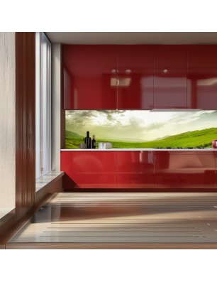 Glas Küchenrückwand 6 mm ESG Motive KRWM-0425