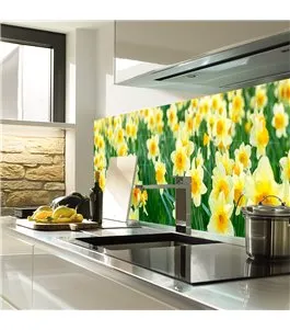 Glas Küchenrückwand 6 mm ESG Motive KRWM-0443