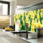 Glas Küchenrückwand 6 mm ESG Motive KRWM-0443 Glas Küchenrückwand 6 mm ESG Motive KRWM-0443