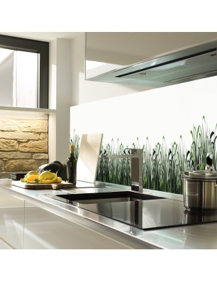 Glas Küchenrückwand 6 mm ESG Motive KRWM-0454