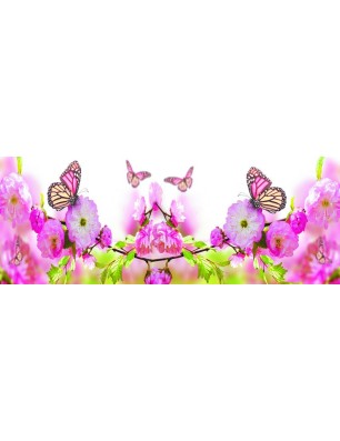 Glas Küchenrückwand 6 mm ESG Motive KRWM-0463