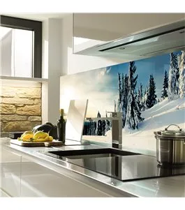 Glas Küchenrückwand 6 mm ESG Motive KRWM-0472