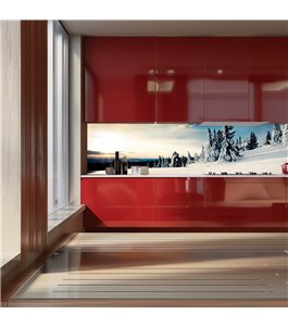 Glas Küchenrückwand 6 mm ESG Motive KRWM-0472