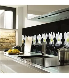 Glas Küchenrückwand 6 mm ESG Motive KRWM-0503