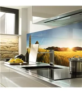 Glas Küchenrückwand 6 mm ESG Motive KRWM-0505