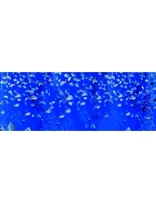 Glas Küchenrückwand 6 mm ESG Motive KRWM-0514