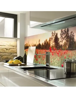 Glas Küchenrückwand 6 mm ESG Motive KRWM-0520