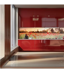 Glas Küchenrückwand 6 mm ESG Motive KRWM-0520