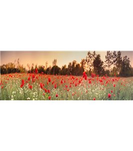 Glas Küchenrückwand 6 mm ESG Motive KRWM-0520