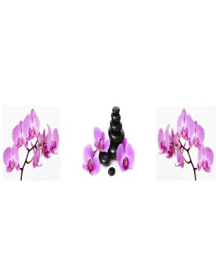 Glas Küchenrückwand 6 mm ESG Motive KRWM-0524