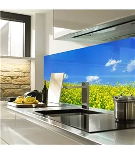 Glas Küchenrückwand 6 mm ESG Motive KRWM-0530