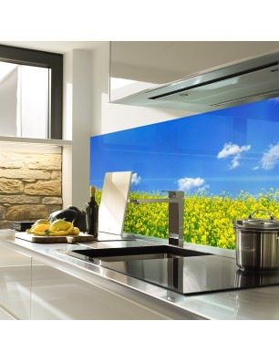 Glas Küchenrückwand 6 mm ESG Motive KRWM-0530