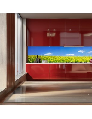 Glas Küchenrückwand 6 mm ESG Motive KRWM-0530